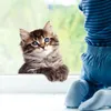 GKA Fenstergucker Fensterbild süße Katze Fenster Aufkleber Produktbild-Vorschau 2
