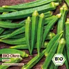 Samenliebe  Okra Samen | Pabhoi - lange - samenfestes  Produktbild-Vorschau 4