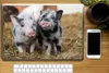 MuchoWow® Laptop Aufkleber Sticker Cover Schwein - Tiere - Produktbild-Vorschau 2