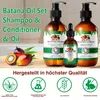 Haarpflege Set Batana Haar Shampoo + Conditioner + Haaröl Produktbild-Vorschau 3