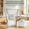 A water filter pitcher and a replacement filter are shown on a kitchen counter, with text overlay describing the benefits of filtered water. Produktbild-Vorschau