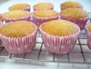 Košíčky na muffiny 50ks ružové s bielymi bodkami - House of Náhľad obrázku produktu 10