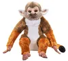 A stuffed toy monkey sitting against a white background. Produktbild-Vorschau