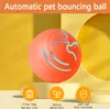 A close-up of an orange interactive pet toy ball with blue accents, placed on a stand. The background is a soft yellow and orange gradient. Podgląd zdjęcia produktu