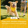 PawHut Hundehütte, Hundehaus mit Satteldach, wetterfest Produktbild-Vorschau 8