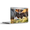 MuchoWow® Laptop Aufkleber Sticker Cover Schottische Produktbild-Vorschau 1
