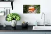 MuchoWow® Poster Meer - Sonnenuntergang - Ausblick 40x20 cm Produktbild-Vorschau 3