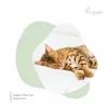 2X Catuals Lettiera deodorante per gatti | Rosmarino | Anteprima dell’immagine prodotto 4