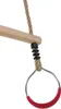 KBT Trapezio ad anello in legno con anelli in metallo Ph Anteprima dell’immagine prodotto 5