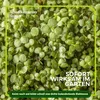 Gelbsenf Gründünger 2 kg Produktbild-Vorschau 2