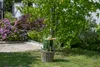 Teakholz Glas- / Flaschenhalter Poole - bene living Produktbild-Vorschau 7