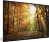 MuchoWow® Gerahmtes Poster Wald - Herbst - Sonne - Produktbild-Vorschau 1