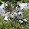 Plüsch-Husky, 60 cm, umweltfreundlich Produktbild-Vorschau 6