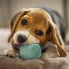 Beeztees Puppy Dental - Hundespielzeug - Gummi - grun - 5 Produktbild-Vorschau 2