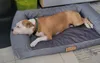 Letto grande per cani divano per cani cuscino per cani Anteprima dell’immagine prodotto 13