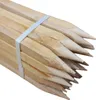 A bundle of wooden stakes, tied together with a white band, with their pointed ends facing towards the right. Anteprima dell’immagine prodotto