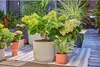 Gardena Micro-Drip-System Set Terrasse (30 Pflanzen) Produktbild-Vorschau 20