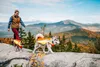 Ruffwear Lumenglow™ High-Vis Jacket, Kolor:Blaze Orange, Podgląd zdjęcia produktu 20