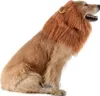 A golden retriever dog wearing a lion's mane costume, sitting and looking to the side with its mouth open. Produktbild-Vorschau