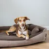 A dog is lying on a dog bed. Produktbild-Vorschau