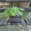 A planter in the shape of a barrel filled with herbs sits on a wooden walkway next to a wooden fence and trees. Náhled obrázku produktu