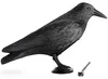 Realistische Vogelabwehr Krähe mit Sound: Produktbild-Vorschau 14