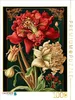 CALVENDO Puzzle Amaryllis | 1000 Teile Lege-Größe 64x48cm Produktbild-Vorschau 1