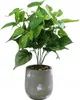 Künstliche Topfpflanze Philodendron 38 cm für Home Office Produktbild-Vorschau 4