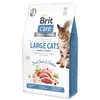 Brit 2kg Fresh Duck & Chicken Grain Free Large cats Podgląd zdjęcia produktu 1