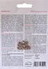SAFLAX - Zioła - Kardamon - 20 Nasiona - Elettaria Podgląd zdjęcia produktu 11