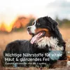 AniForte Bierhefe Pulver für Hunde 500g - Naturprodukt für Produktbild-Vorschau 6