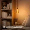 Lumière décorative LED 'Glow', 5 warmw. LED, verre ambre Voir les images du produit 10