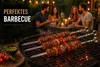 50 Stk. Schaschlikspieße Edelstahl 55 cm – 2 mm Extra Stark Produktbild-Vorschau 5