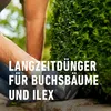 COMPO Buchsbaum- und Ilex Langzeit-Dünger - 2 kg Produktbild-Vorschau 8