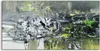 Coloray Acrylbild 120x60  Wandbild Acrylbilder Foto Bild Produktbild-Vorschau 1