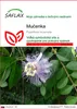 SAFLAX - Mučenka - Passiflora incarnata - 5 semien Náhľad obrázku produktu 1