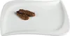 Mäser 923783 La Musica Dessertteller, Ø 21,5cm, elfenbein Produktbild-Vorschau 3