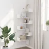 A white corner shelf unit with various decorative items and books, placed next to a large potted plant and a window with curtains. Anteprima dell’immagine prodotto