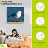 ARTland Leinwandbild Möwe Größe: 50x50 cm Produktbild-Vorschau 3