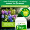 Purgrün Bauernhortensie-Dünger 1 Liter, Produktbild-Vorschau 4