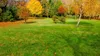 A park scene in autumn with green grass and trees showing fall colors. Produktbild-Vorschau