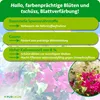 Purgrün Bougainvillea-Dünger 1 Liter, Produktbild-Vorschau 3