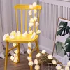 3M LED Rosen Lichterkette Batteriebetrieben Valentinstag Produktbild-Vorschau 7