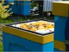 LYSON Apikand mit Pollen Bienenfutter 1kg Teig Bienen Produktbild-Vorschau 3