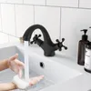 Dvouručková koupelnová baterie Černá Náhled obrázku produktu 3