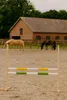 Sprunghindernis für Hobby Horse 120cm, zwei Balken - gelb Produktbild-Vorschau 9