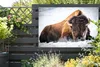 MuchoWow® Produktbild-Vorschau 5