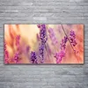 Glasbilder 120x60 Wandbild Druck auf Glas Blumen Pflanzen Produktbild-Vorschau 2