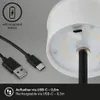Lampada da tavolo a LED a batteria Lampada da tavolo Anteprima dell’immagine prodotto 4