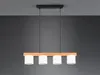 Trio - Hängelampe CAMERON -  - 0x0x150 cm Produktbild-Vorschau 22